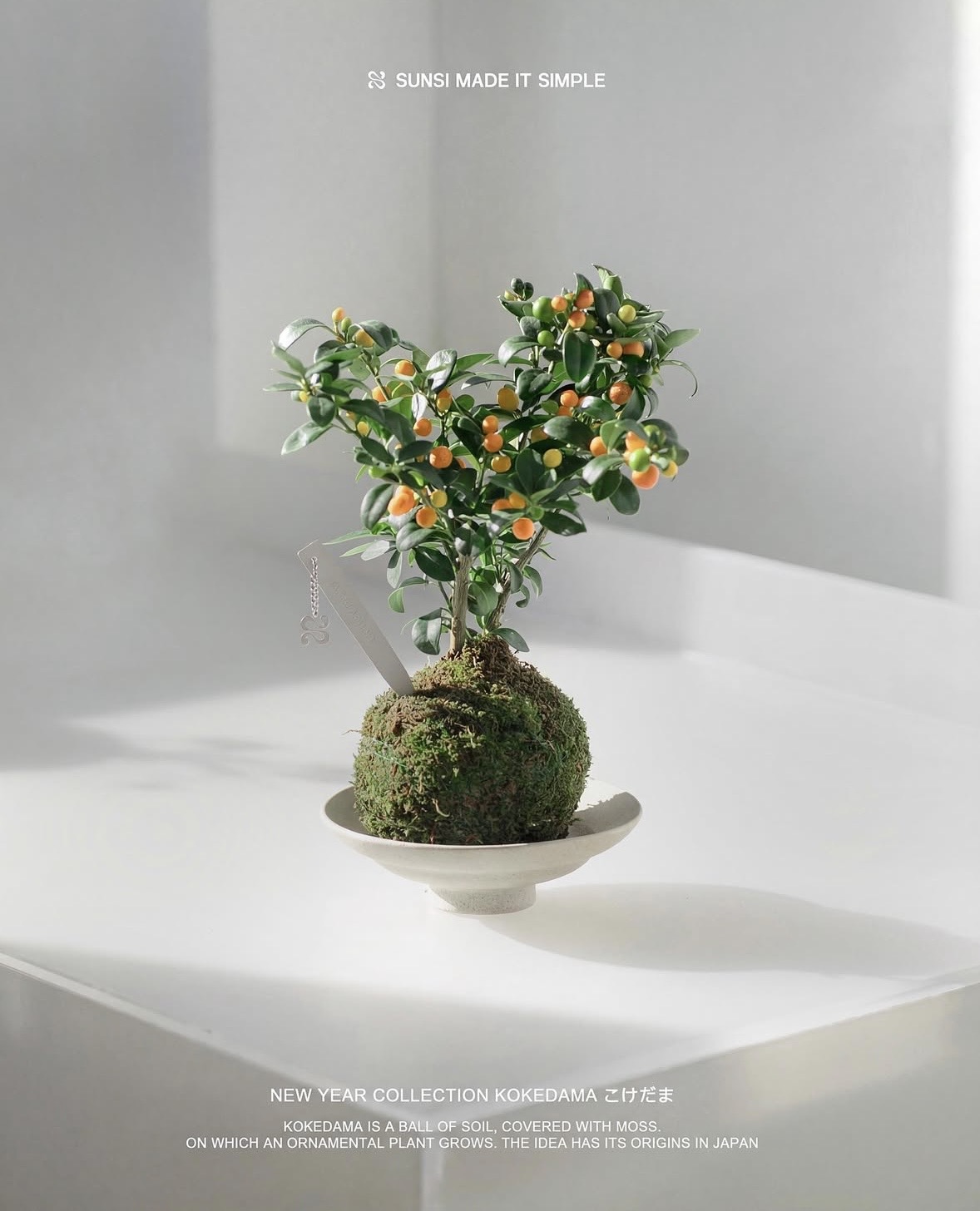 Trend chơi quất d&agrave;nh cho nh&agrave; nhỏ - hội chị em nhất định phải update để đ&oacute;n Tết- Ảnh 3.