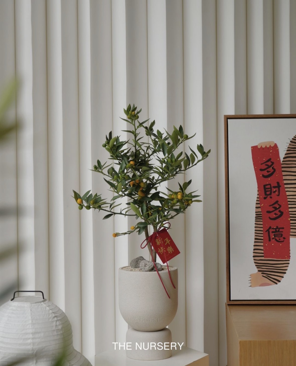 Trend chơi quất d&agrave;nh cho nh&agrave; nhỏ - hội chị em nhất định phải update để đ&oacute;n Tết- Ảnh 8.