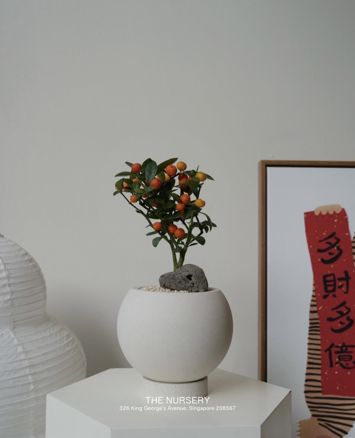 Trend chơi quất d&agrave;nh cho nh&agrave; nhỏ - hội chị em nhất định phải update để đ&oacute;n Tết- Ảnh 10.