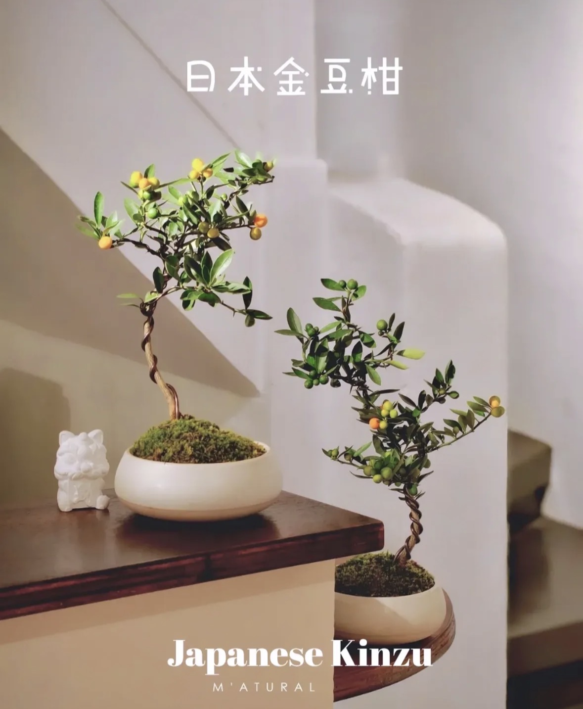 Trend chơi quất d&agrave;nh cho nh&agrave; nhỏ - hội chị em nhất định phải update để đ&oacute;n Tết- Ảnh 7.