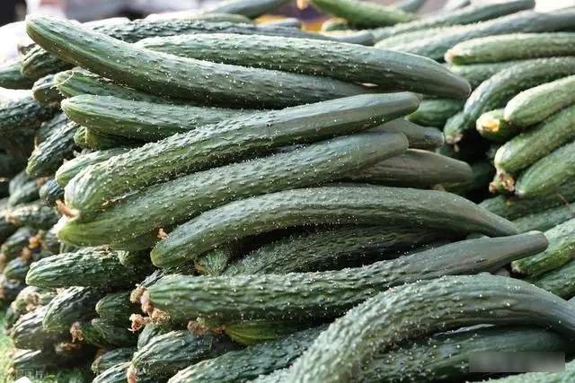 5 loại rau dễ "ngậm h&oacute;a chất" nhất chợ, ch&iacute;nh người b&aacute;n cũng kh&ocirc;ng d&aacute;m ăn, dịp lễ Tết c&agrave;ng n&ecirc;n chọn kỹ khi mua- Ảnh 2.