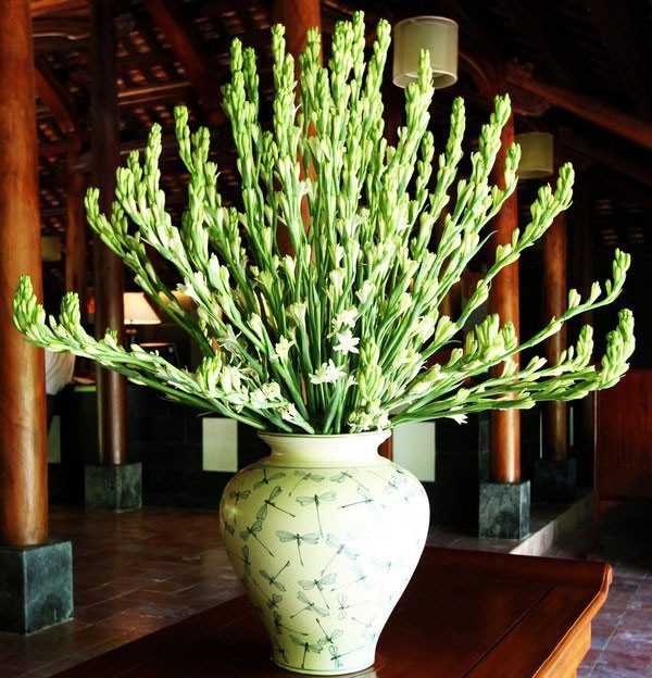 5 loại hoa NÊN trưng bàn thờ Tết: Giữ cát khí, tụ phúc lành, đón lộc đầu năm- Ảnh 5. 5 loại hoa NÊN trưng bàn thờ Tết: Giữ cát khí, tụ phúc lành, đón lộc đầu năm- Ảnh 5.