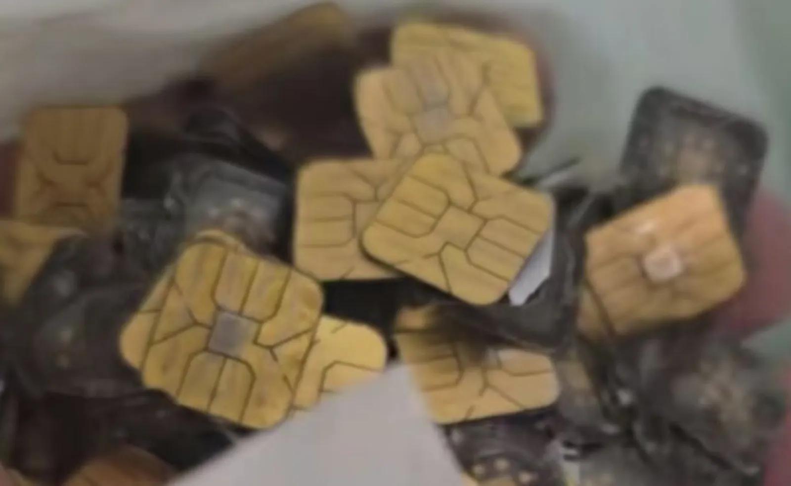 V&agrave;ng tăng gi&aacute;, người đ&agrave;n &ocirc;ng tự l&agrave;m ra hơn 5 c&acirc;y từ thứ m&agrave; ai cũng bỏ đi: Sự thật khiến tất cả vỡ mộng- Ảnh 1.