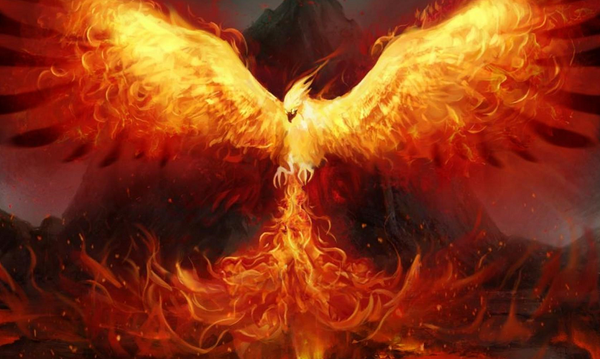 Xôn xao đoạn video phượng hoàng lửa đột ngột xuất hiện trong đêm tối, mạng xã hội chia rẽ thành 2 phe- Ảnh 1. Xôn xao đoạn video phượng hoàng lửa đột ngột xuất hiện trong đêm tối, mạng xã hội chia rẽ thành 2 phe- Ảnh 1.