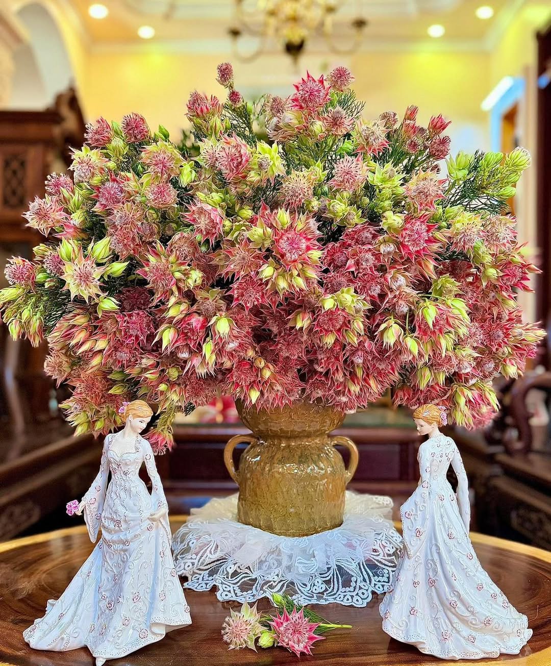 Lo&agrave;i hoa t&ecirc;n nghe bẽn lẽn như g&aacute;i đ&ocirc;i mươi, nở rộ th&agrave;nh tuyệt phẩm, bền đẹp suốt cả th&aacute;ng- Ảnh 4.