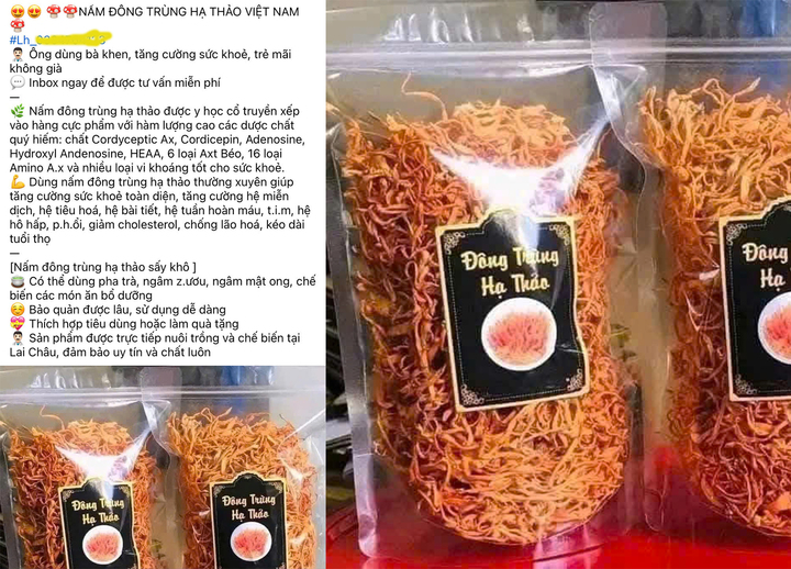 Đ&ocirc;ng tr&ugrave;ng hạ thảo 350.000 đồng/kg: Gi&aacute; rẻ bất thường, chất lượng kh&oacute; kiểm so&aacute;t- Ảnh 1.