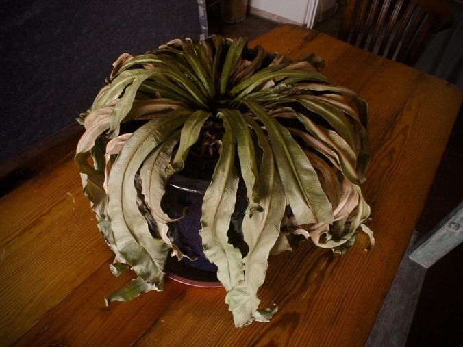 5 dấu hiệu nhận biết phong thủy nhà đang suy yếu, tiền trôi tuột như nước chảy qua kẽ tay- Ảnh 1. 5 dấu hiệu nhận biết phong thủy nhà đang suy yếu, tiền trôi tuột như nước chảy qua kẽ tay- Ảnh 1.