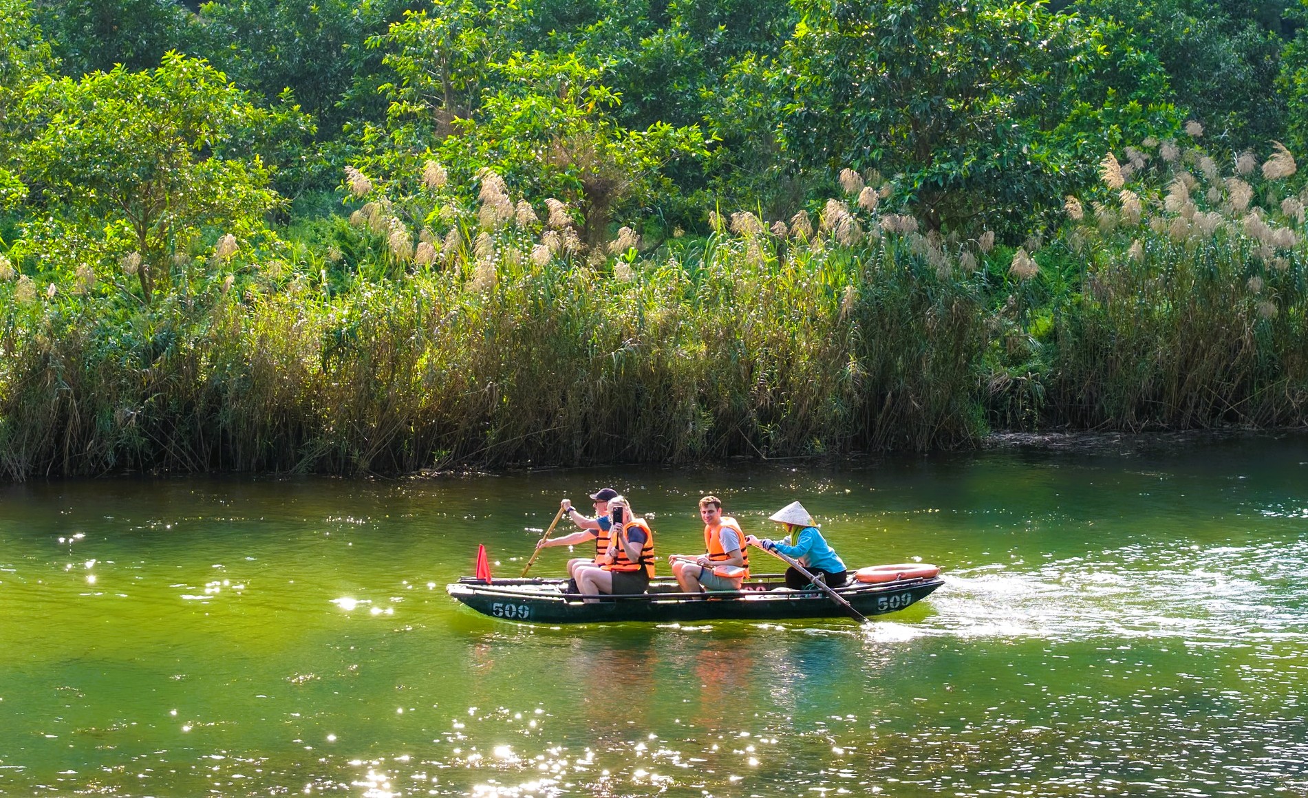Tràng An say đắm lòng người mùa lau sậy trổ bông- Ảnh 9. Tràng An say đắm lòng người mùa lau sậy trổ bông- Ảnh 9.