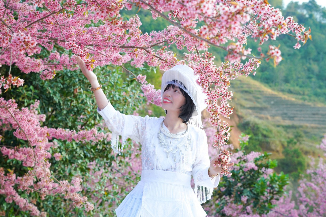 Đổ x&ocirc; du lịch Sa Pa, M&ugrave; Cang Chải- Ảnh 2.