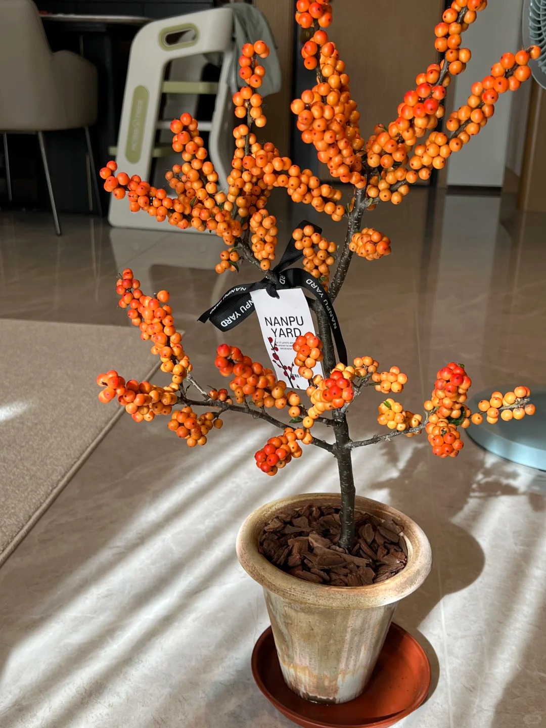 Tết đừng chỉ chơi đ&agrave;o, h&atilde;y thử cắm b&igrave;nh đ&agrave;o đ&ocirc;ng "cam Herm&egrave;s": M&agrave;u của gi&agrave;u sang v&agrave; b&iacute; k&iacute;p "3 kh&ocirc;ng" gi&uacute;p quả căng mọng cả th&aacute;ng kh&ocirc;ng rụng- Ảnh 21.