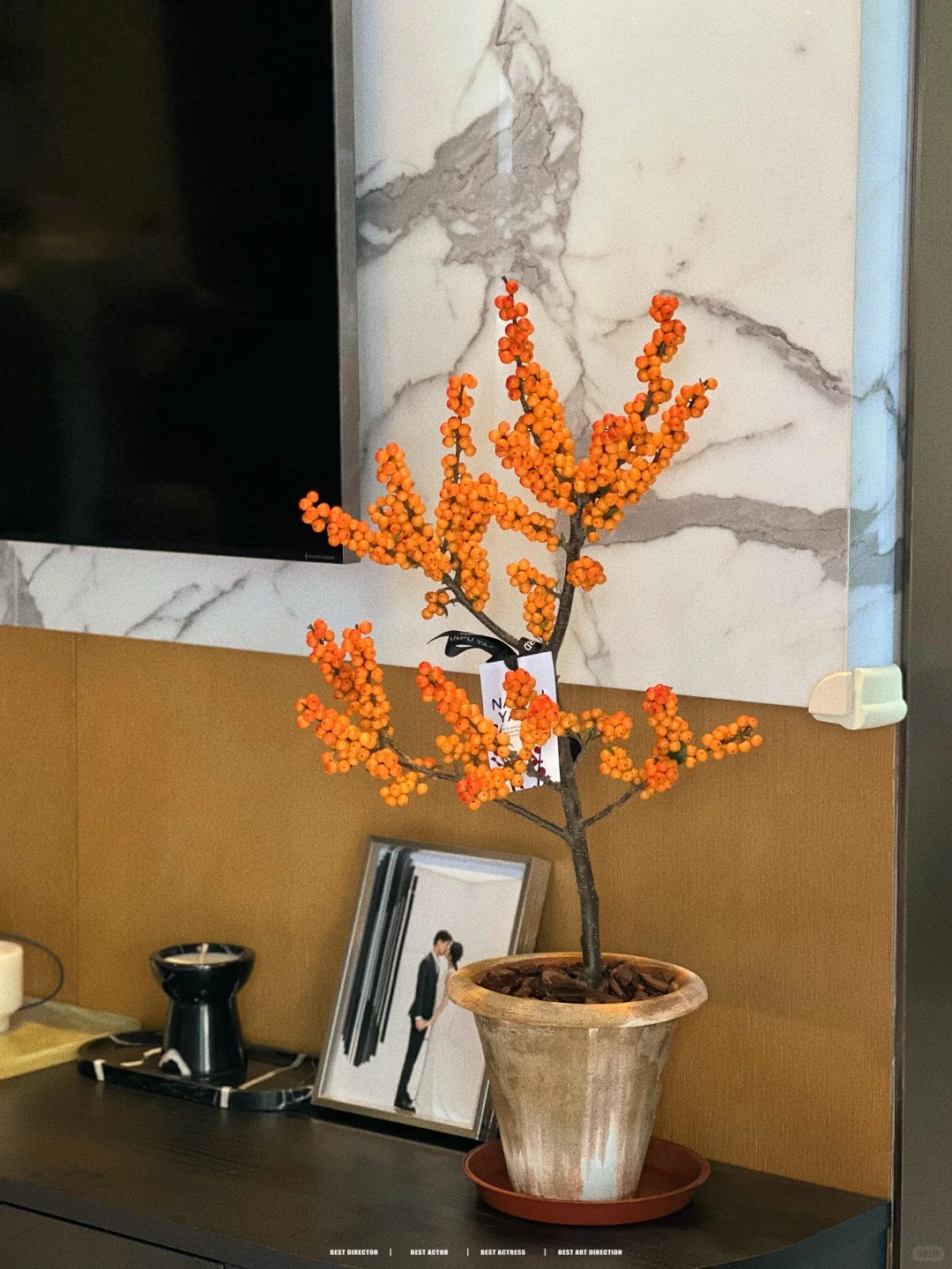 Tết đừng chỉ chơi đ&agrave;o, h&atilde;y thử cắm b&igrave;nh đ&agrave;o đ&ocirc;ng "cam Herm&egrave;s": M&agrave;u của gi&agrave;u sang v&agrave; b&iacute; k&iacute;p "3 kh&ocirc;ng" gi&uacute;p quả căng mọng cả th&aacute;ng kh&ocirc;ng rụng- Ảnh 20.