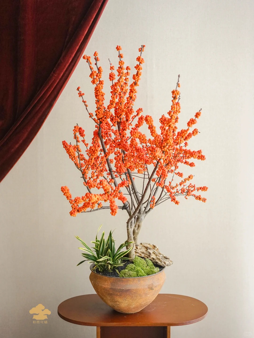 Tết đừng chỉ chơi đ&agrave;o, h&atilde;y thử cắm b&igrave;nh đ&agrave;o đ&ocirc;ng "cam Herm&egrave;s": M&agrave;u của gi&agrave;u sang v&agrave; b&iacute; k&iacute;p "3 kh&ocirc;ng" gi&uacute;p quả căng mọng cả th&aacute;ng kh&ocirc;ng rụng- Ảnh 14.