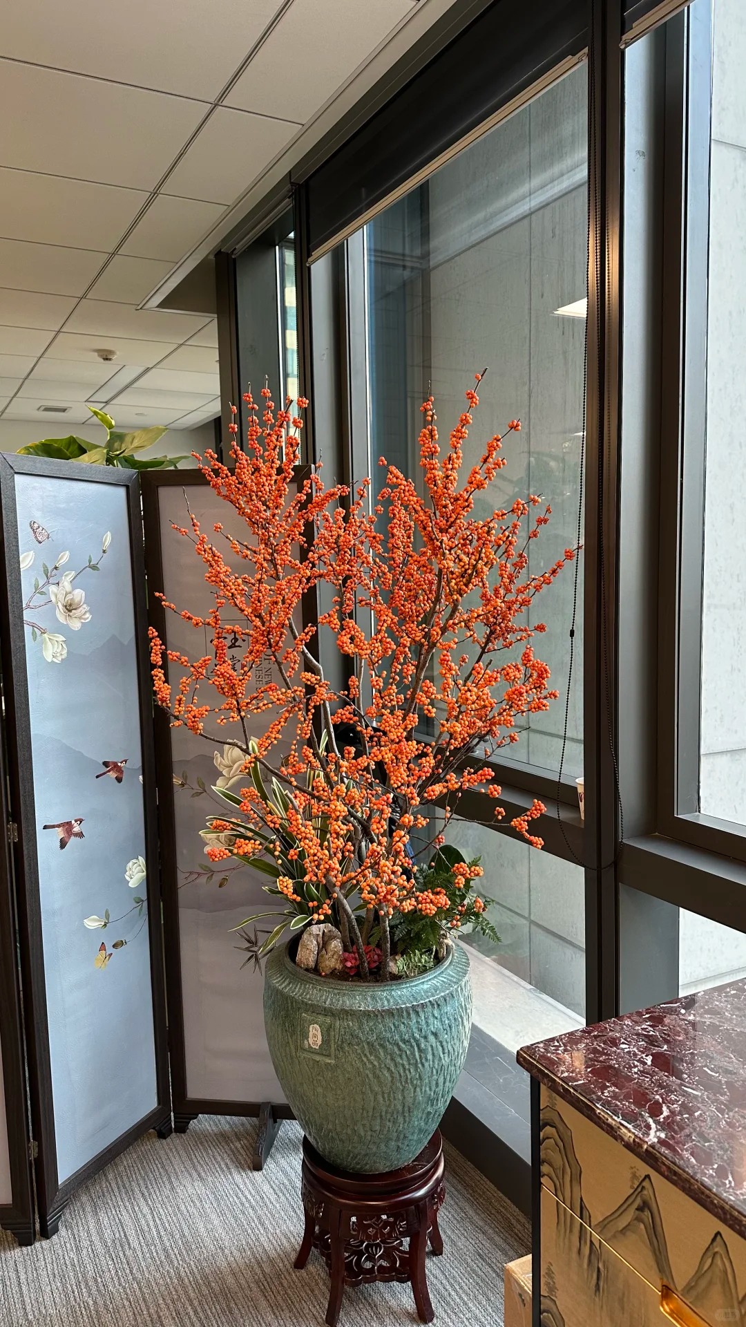 Tết đừng chỉ chơi đ&agrave;o, h&atilde;y thử cắm b&igrave;nh đ&agrave;o đ&ocirc;ng "cam Herm&egrave;s": M&agrave;u của gi&agrave;u sang v&agrave; b&iacute; k&iacute;p "3 kh&ocirc;ng" gi&uacute;p quả căng mọng cả th&aacute;ng kh&ocirc;ng rụng- Ảnh 28.