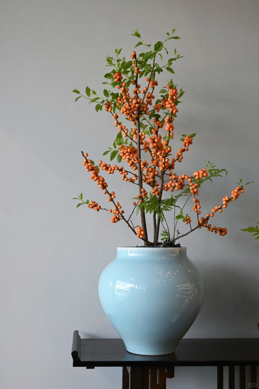 Tết đừng chỉ chơi đ&agrave;o, h&atilde;y thử cắm b&igrave;nh đ&agrave;o đ&ocirc;ng "cam Herm&egrave;s": M&agrave;u của gi&agrave;u sang v&agrave; b&iacute; k&iacute;p "3 kh&ocirc;ng" gi&uacute;p quả căng mọng cả th&aacute;ng kh&ocirc;ng rụng- Ảnh 18.