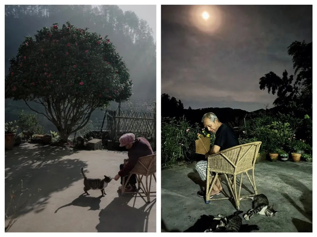 4 người thế hệ 9x bỏ phố về quê xây nhà: Căn rẻ nhất 350 triệu, đổi lấy tự do chỗ ở- Ảnh 4. 4 người thế hệ 9x bỏ phố về quê xây nhà: Căn rẻ nhất 350 triệu, đổi lấy tự do chỗ ở- Ảnh 4.