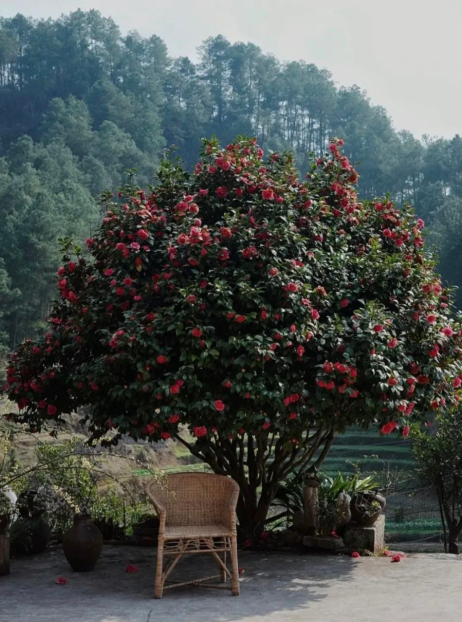 4 người thế hệ 9x bỏ phố về quê xây nhà: Căn rẻ nhất 350 triệu, đổi lấy tự do chỗ ở- Ảnh 8. 4 người thế hệ 9x bỏ phố về quê xây nhà: Căn rẻ nhất 350 triệu, đổi lấy tự do chỗ ở- Ảnh 8.