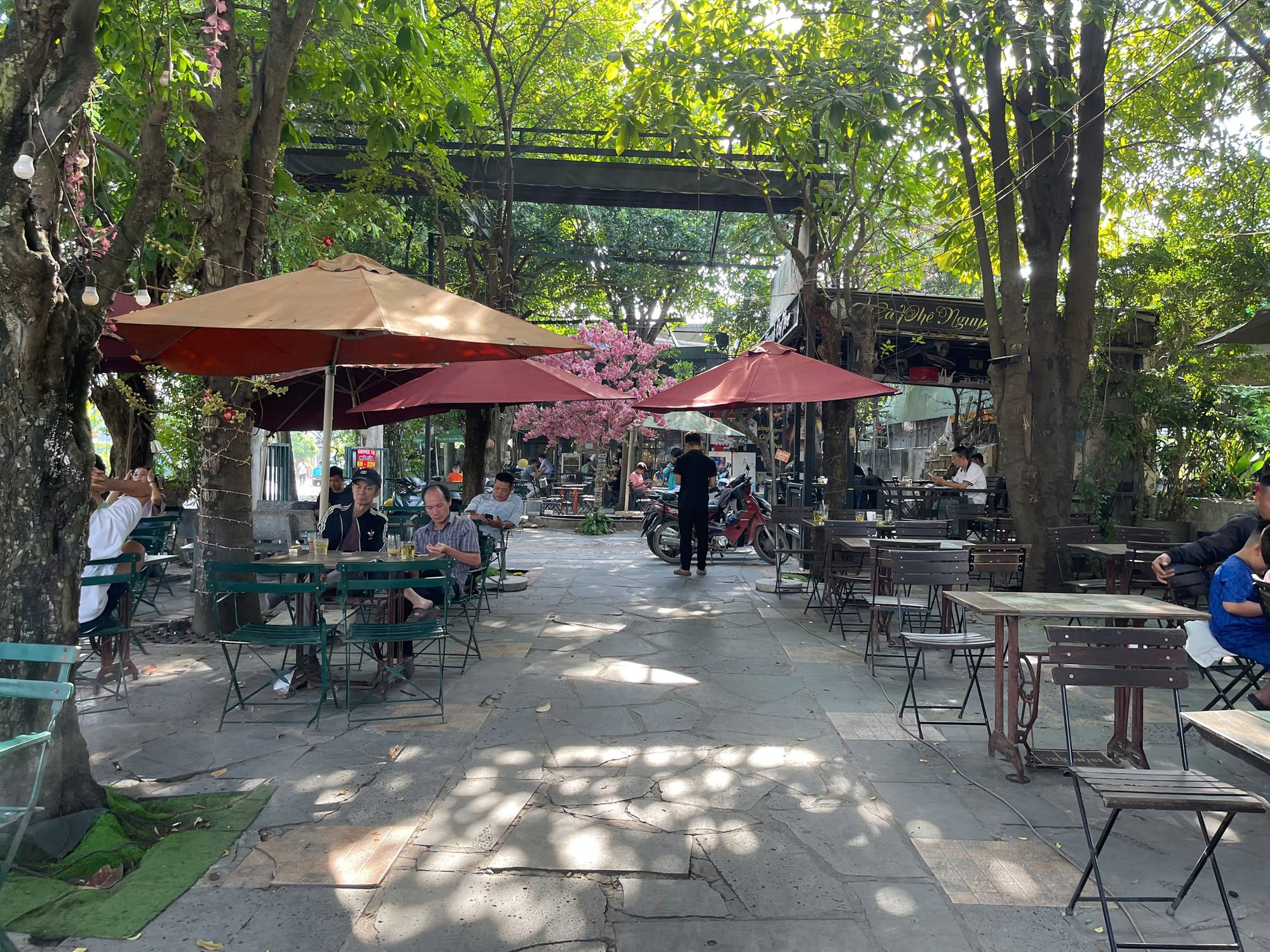 Bắt khẩn cấp người đ&agrave;n &ocirc;ng "m&uacute;t chuột", "đ&aacute; l&ocirc;ng nheo" rồi đ&aacute;nh t&eacute;t tr&aacute;n c&ocirc; g&aacute;i- Ảnh 1.