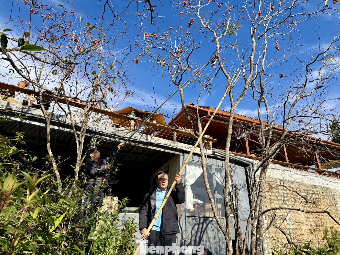 Du kh&aacute;ch n&ocirc; nức check-in giữa vườn hồng chất chill Đ&agrave; Lạt- Ảnh 10.