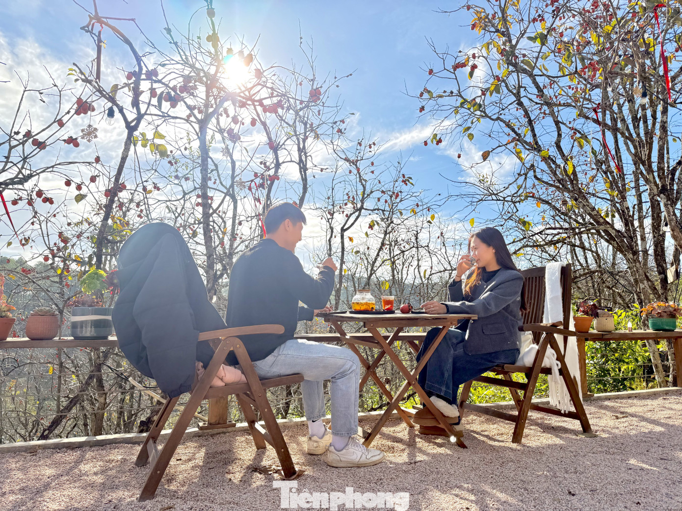 Du kh&aacute;ch n&ocirc; nức check-in giữa vườn hồng chất chill Đ&agrave; Lạt- Ảnh 14.