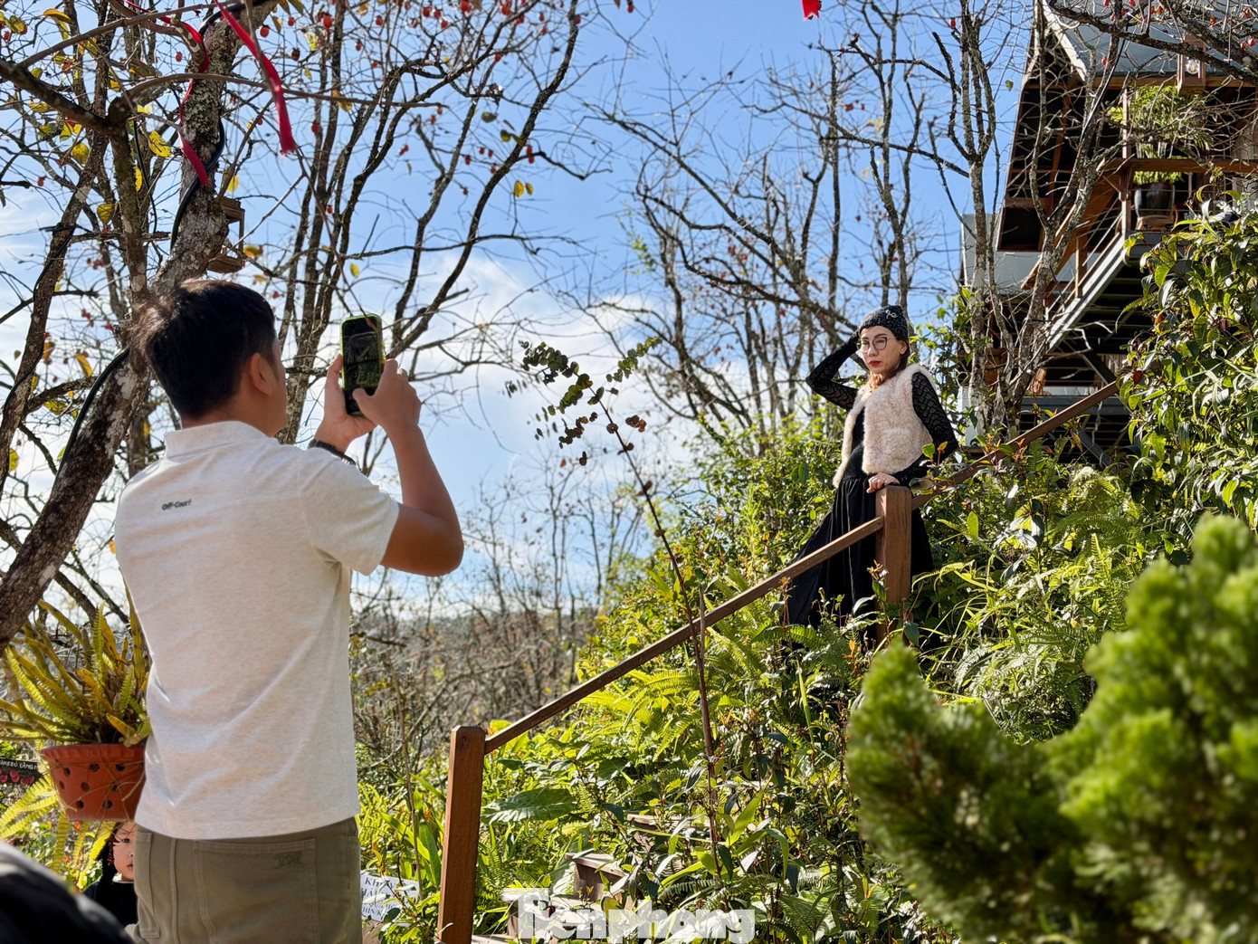 Du kh&aacute;ch n&ocirc; nức check-in giữa vườn hồng chất chill Đ&agrave; Lạt- Ảnh 15.