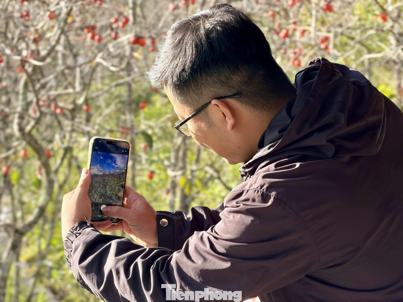 Du kh&aacute;ch n&ocirc; nức check-in giữa vườn hồng chất chill Đ&agrave; Lạt- Ảnh 8.