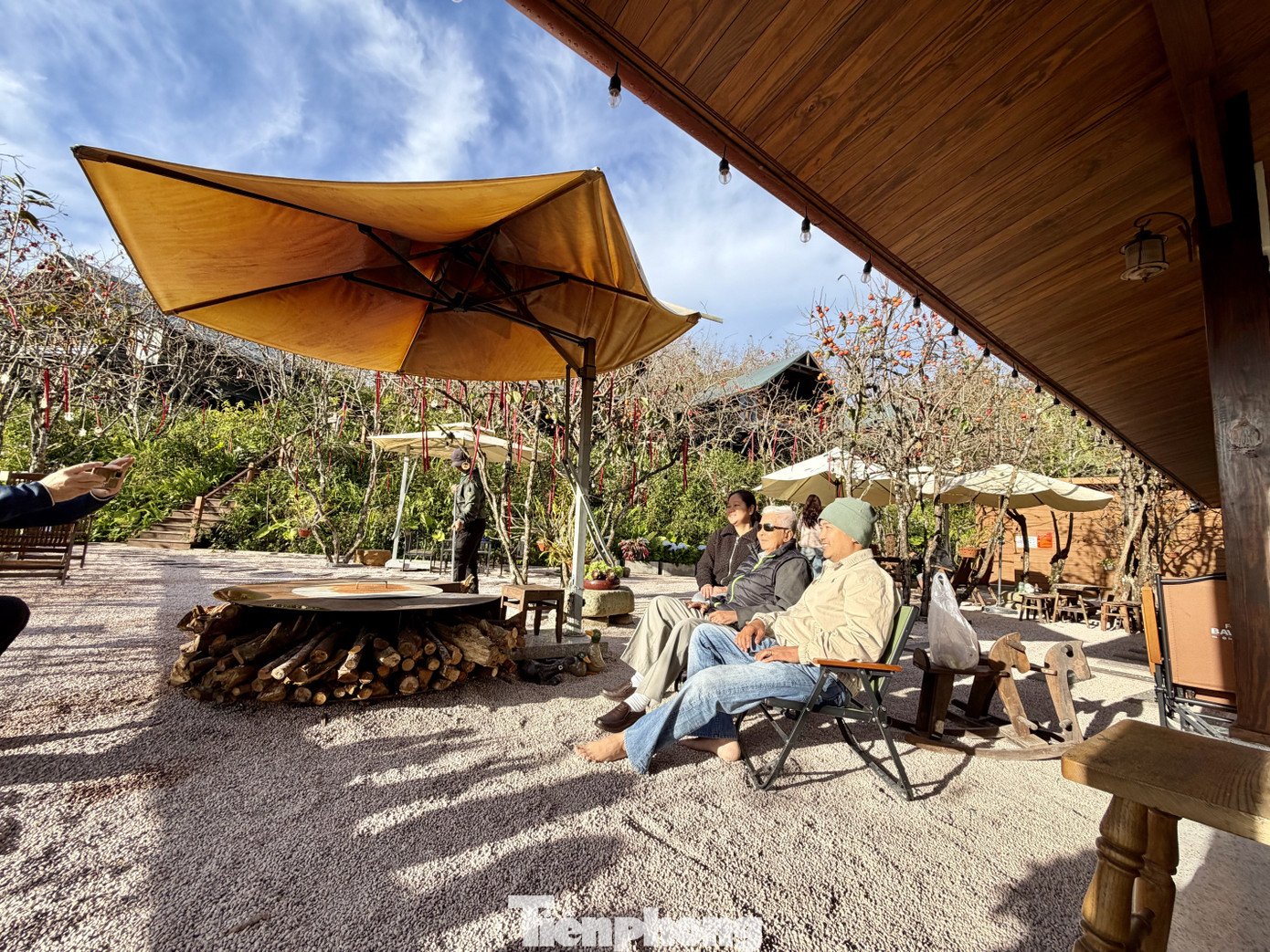 Du kh&aacute;ch n&ocirc; nức check-in giữa vườn hồng chất chill Đ&agrave; Lạt- Ảnh 16.