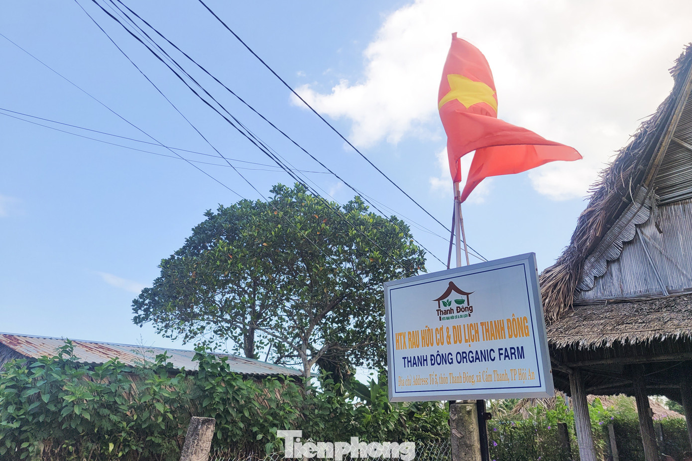 Kh&aacute;ch T&acirc;y h&agrave;o hứng l&agrave;m n&ocirc;ng d&acirc;n g&aacute;nh nước, trồng rau- Ảnh 2.