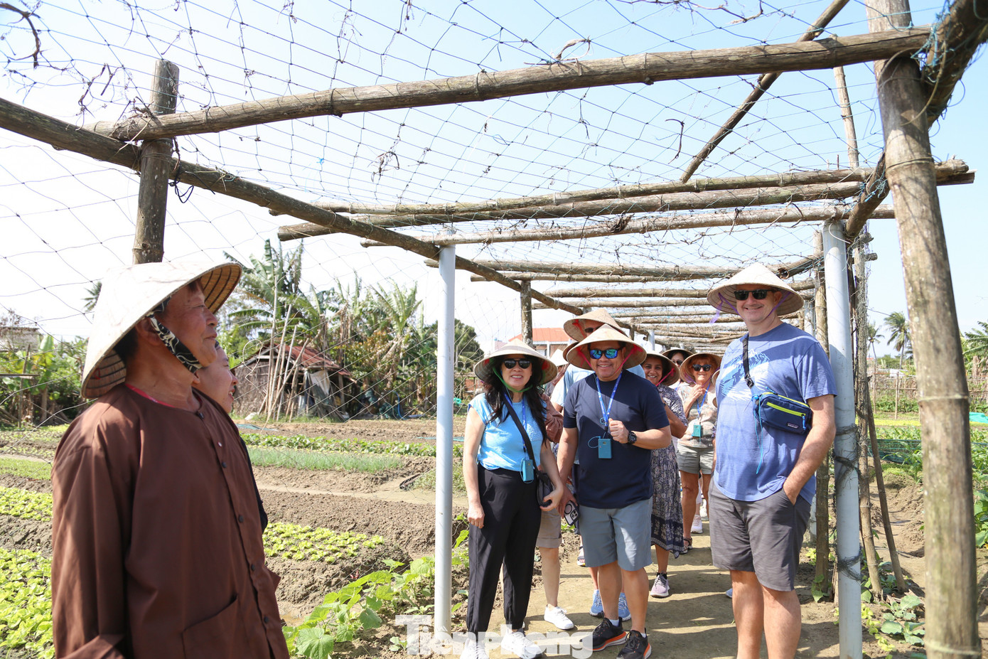 Kh&aacute;ch T&acirc;y h&agrave;o hứng l&agrave;m n&ocirc;ng d&acirc;n g&aacute;nh nước, trồng rau- Ảnh 4.
