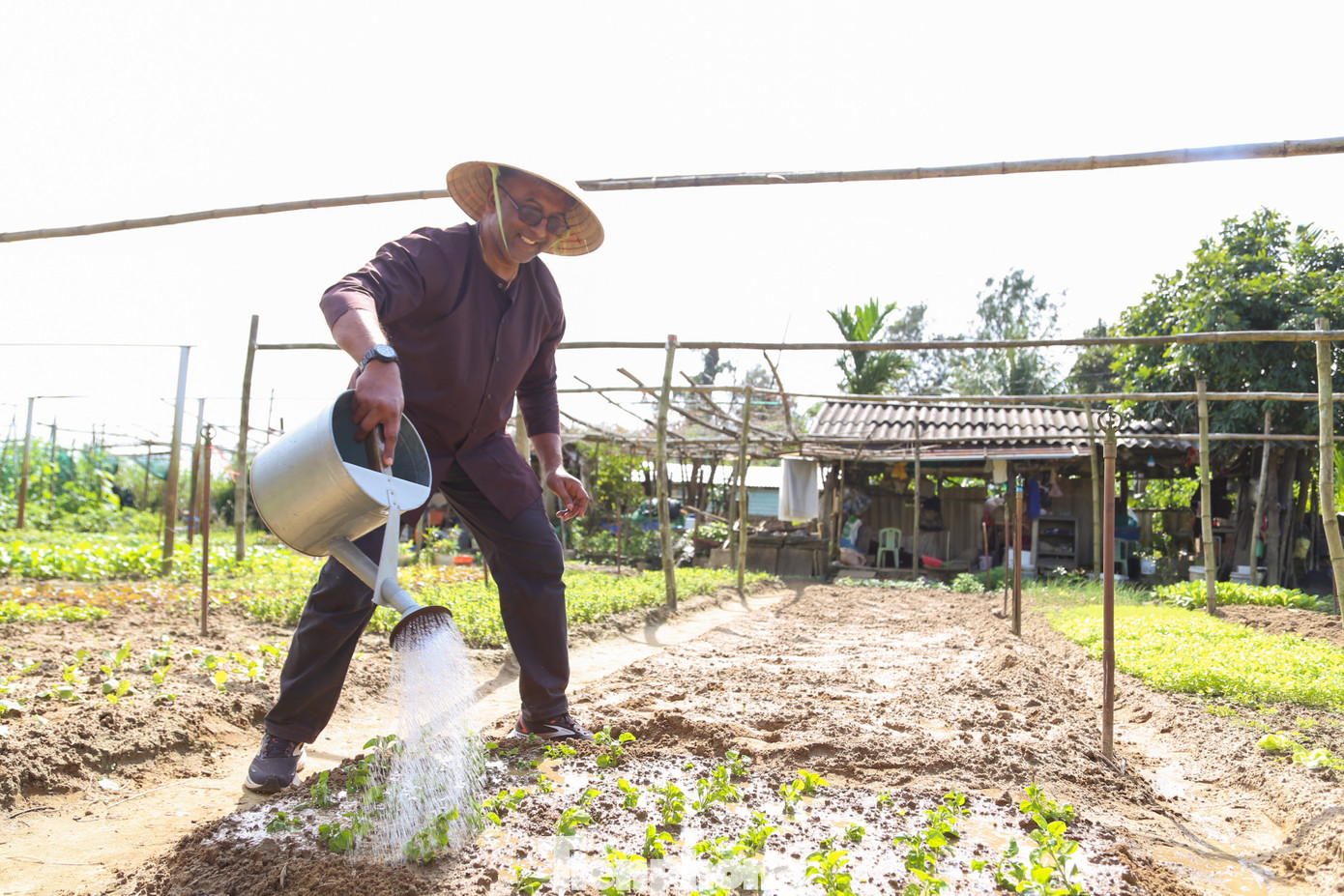 Kh&aacute;ch T&acirc;y h&agrave;o hứng l&agrave;m n&ocirc;ng d&acirc;n g&aacute;nh nước, trồng rau- Ảnh 16.