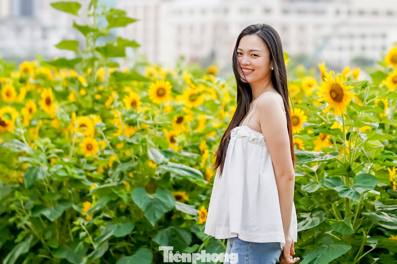 M&atilde;n nh&atilde;n vườn hướng dương ngh&igrave;n b&ocirc;ng khoe sắc b&ecirc;n bờ s&ocirc;ng S&agrave;i G&ograve;n- Ảnh 7.