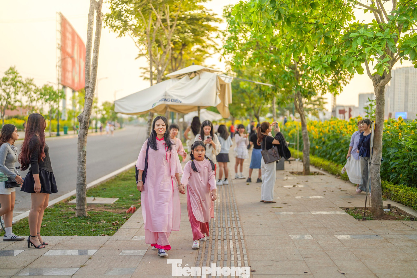 M&atilde;n nh&atilde;n vườn hướng dương ngh&igrave;n b&ocirc;ng khoe sắc b&ecirc;n bờ s&ocirc;ng S&agrave;i G&ograve;n- Ảnh 5.