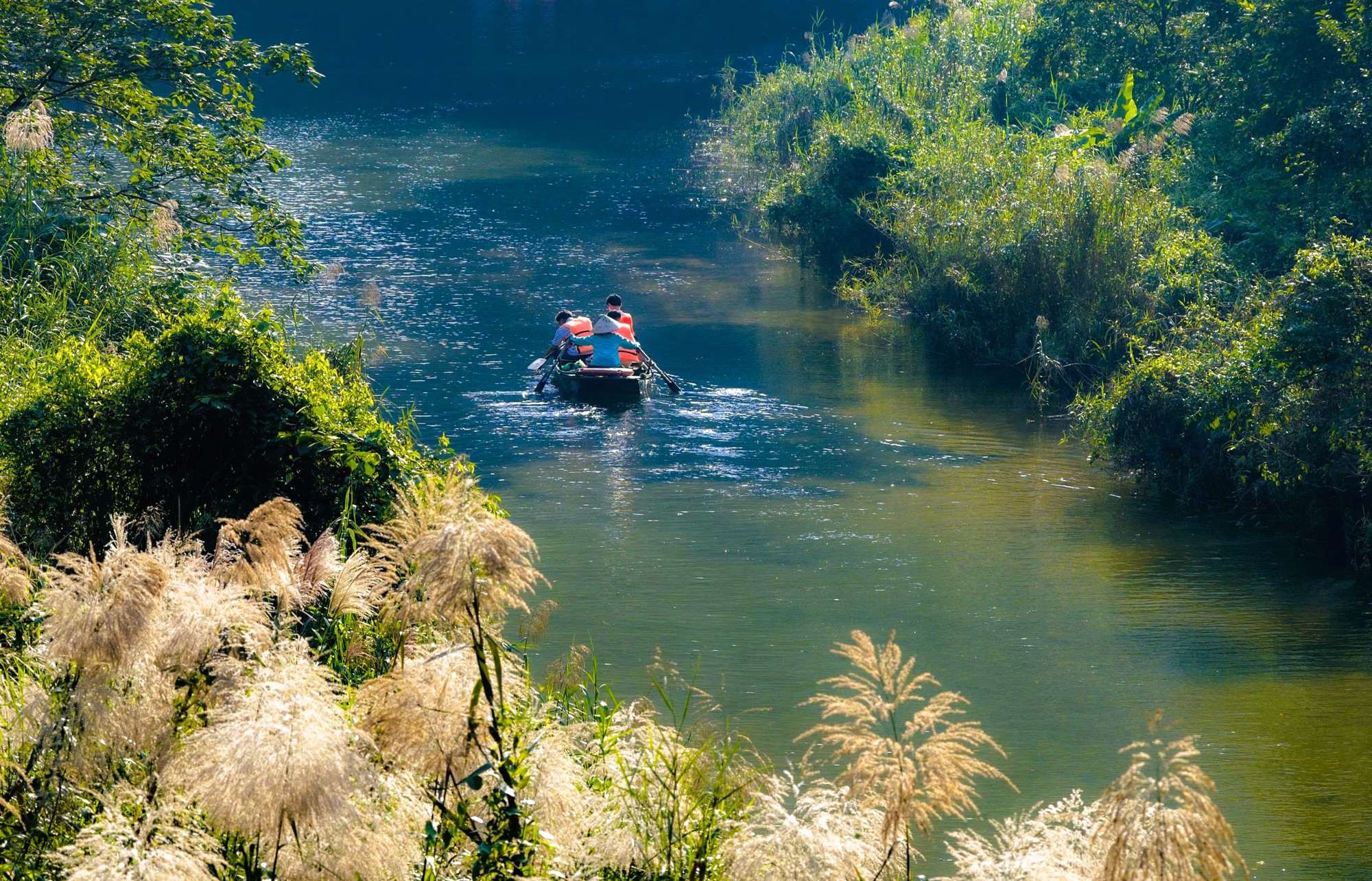 Tràng An say đắm lòng người mùa lau sậy trổ bông- Ảnh 7. Tràng An say đắm lòng người mùa lau sậy trổ bông- Ảnh 7.