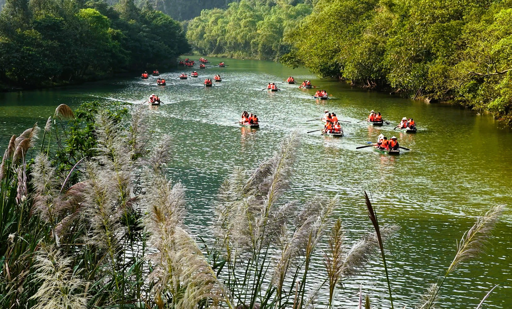 Tràng An say đắm lòng người mùa lau sậy trổ bông- Ảnh 10. Tràng An say đắm lòng người mùa lau sậy trổ bông- Ảnh 10.