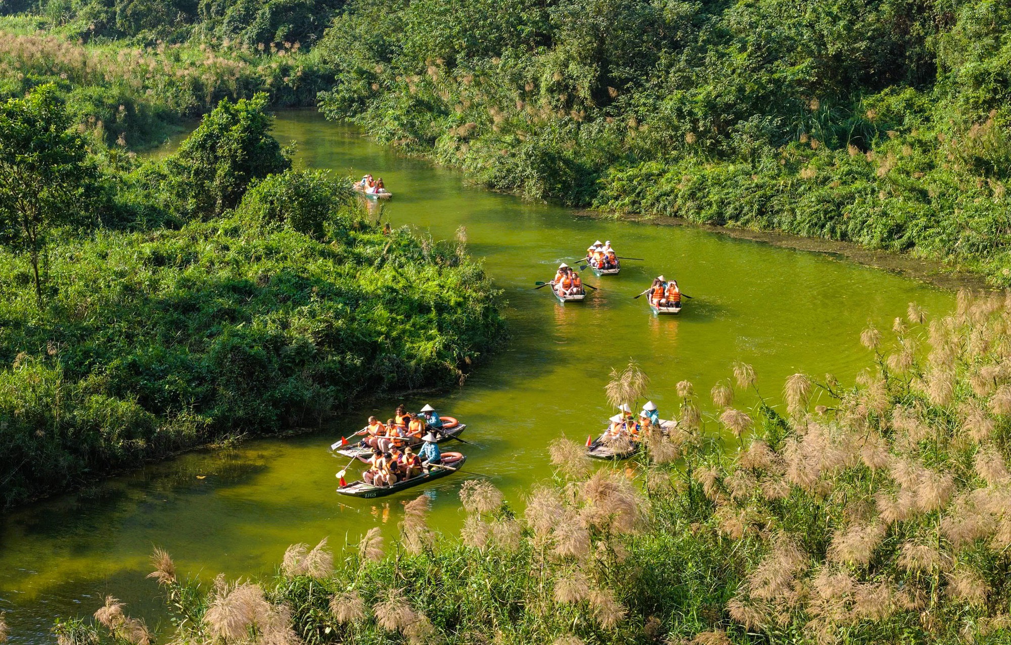 Tràng An say đắm lòng người mùa lau sậy trổ bông- Ảnh 8. Tràng An say đắm lòng người mùa lau sậy trổ bông- Ảnh 8.