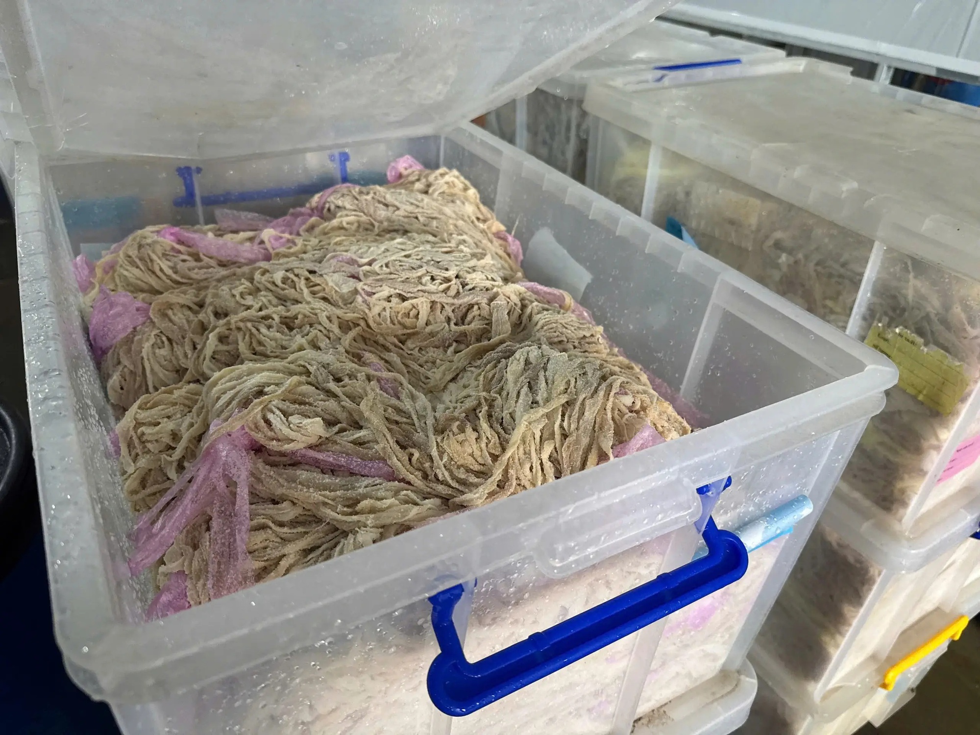 Cận cảnh hơn 60 tấn lòng lợn bốc mùi nằm trong kho lạnh nhiều tháng ở Hà Nội, chuẩn bị tuồn ra thị trường dịp cận Tết- Ảnh 11. Cận cảnh hơn 60 tấn lòng lợn bốc mùi nằm trong kho lạnh nhiều tháng ở Hà Nội, chuẩn bị tuồn ra thị trường dịp cận Tết- Ảnh 11.