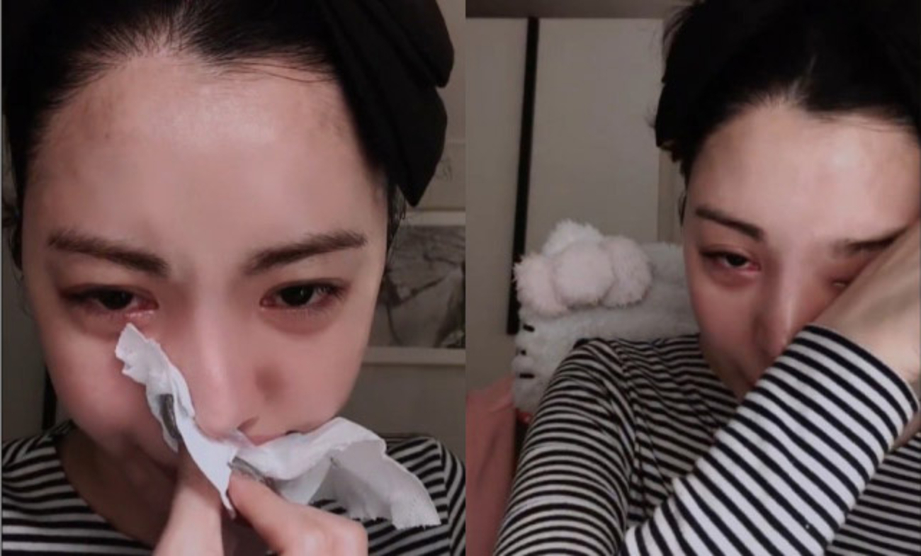 Chị Đẹp của nh&oacute;m nhạc tuổi thơ livestream, li&ecirc;n tục kh&oacute;c nức nở, ph&aacute;t ng&ocirc;n g&acirc;y sốc- Ảnh 1.