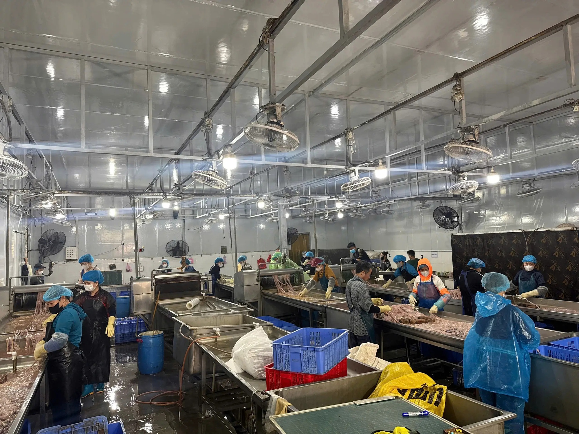 Cận cảnh hơn 60 tấn lòng lợn bốc mùi nằm trong kho lạnh nhiều tháng ở Hà Nội, chuẩn bị tuồn ra thị trường dịp cận Tết- Ảnh 8. Cận cảnh hơn 60 tấn lòng lợn bốc mùi nằm trong kho lạnh nhiều tháng ở Hà Nội, chuẩn bị tuồn ra thị trường dịp cận Tết- Ảnh 8.