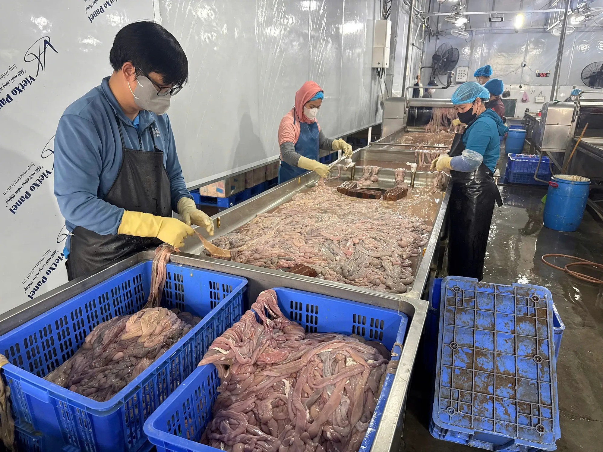 Cận cảnh hơn 60 tấn lòng lợn bốc mùi nằm trong kho lạnh nhiều tháng ở Hà Nội, chuẩn bị tuồn ra thị trường dịp cận Tết- Ảnh 10. Cận cảnh hơn 60 tấn lòng lợn bốc mùi nằm trong kho lạnh nhiều tháng ở Hà Nội, chuẩn bị tuồn ra thị trường dịp cận Tết- Ảnh 10.