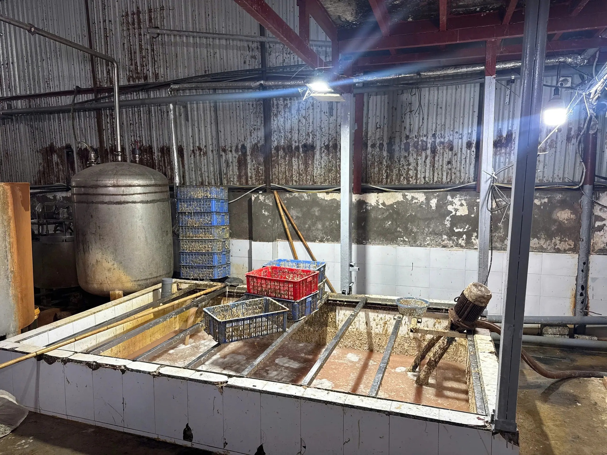 Cận cảnh hơn 60 tấn lòng lợn bốc mùi nằm trong kho lạnh nhiều tháng ở Hà Nội, chuẩn bị tuồn ra thị trường dịp cận Tết- Ảnh 7. Cận cảnh hơn 60 tấn lòng lợn bốc mùi nằm trong kho lạnh nhiều tháng ở Hà Nội, chuẩn bị tuồn ra thị trường dịp cận Tết- Ảnh 7.