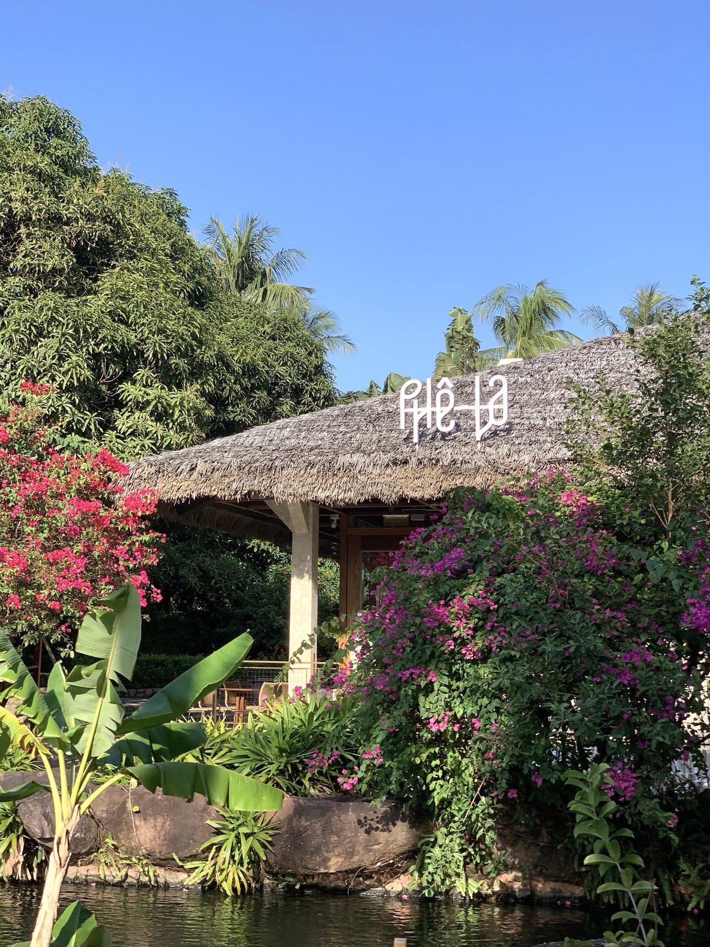 Tốn 1 triệu đồng mới được quyền mua một ly Ph&ecirc; La, chi nh&aacute;nh mới khiến kh&aacute;ch nghe xong muốn quay xe gấp- Ảnh 7.