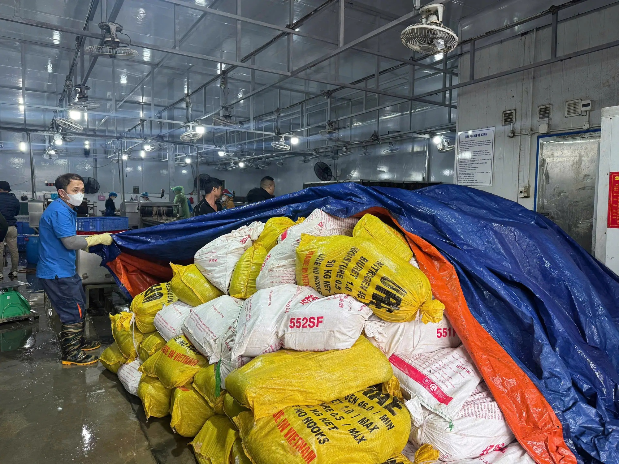 Cận cảnh hơn 60 tấn lòng lợn bốc mùi nằm trong kho lạnh nhiều tháng ở Hà Nội, chuẩn bị tuồn ra thị trường dịp cận Tết- Ảnh 2. Cận cảnh hơn 60 tấn lòng lợn bốc mùi nằm trong kho lạnh nhiều tháng ở Hà Nội, chuẩn bị tuồn ra thị trường dịp cận Tết- Ảnh 2.