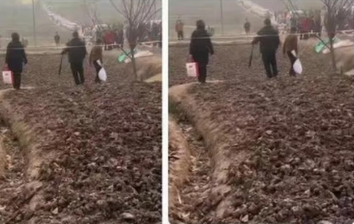 'Cơn cuồng hot girl mổ lợn Tết&rsquo; v&agrave; biến tướng mua b&aacute;n &lsquo;đất may mắn&rsquo; ở Trung Quốc- Ảnh 2.