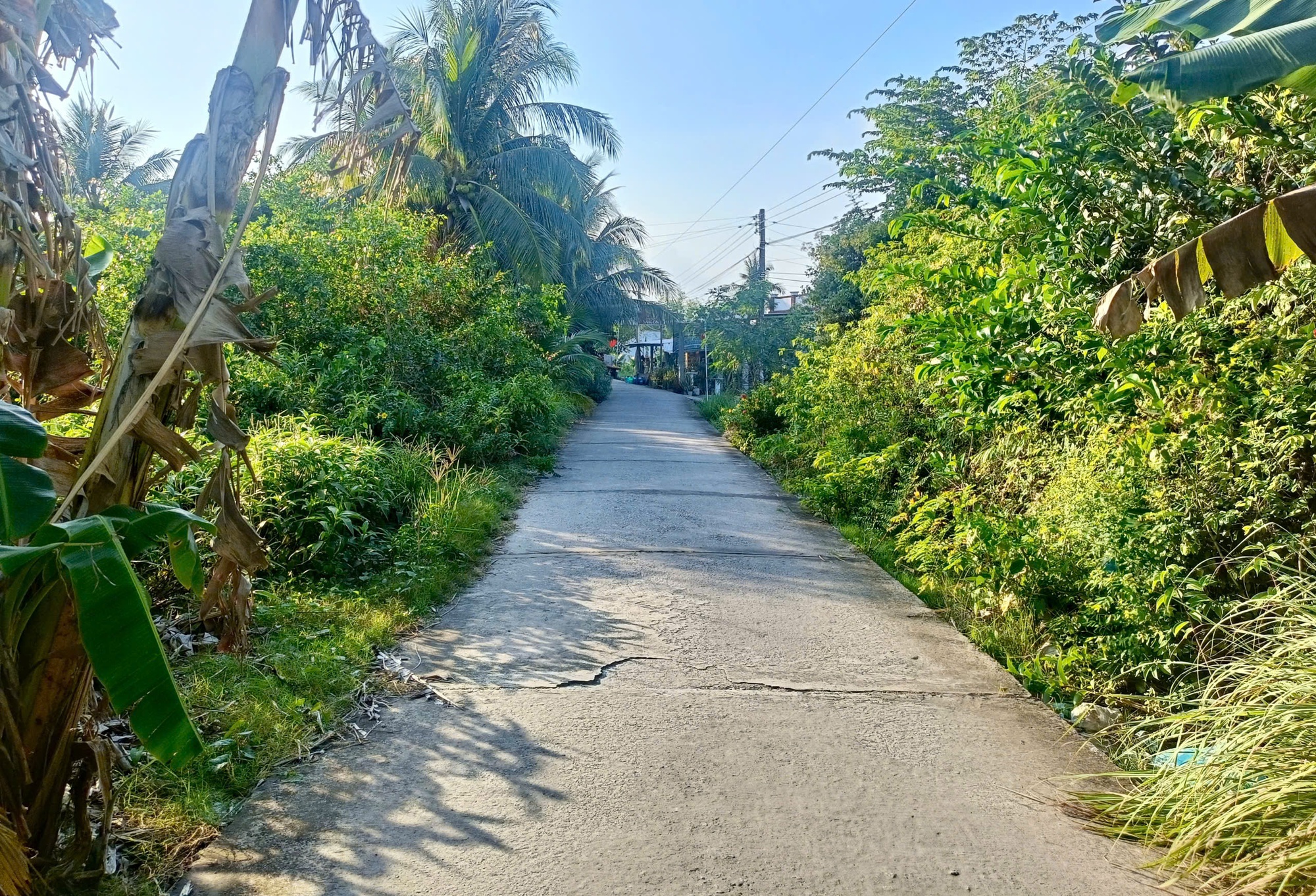 Vụ &aacute;n g&acirc;y chấn động ở C&agrave; Mau: Nghi phạm v&agrave; nạn nh&acirc;n sống chung như vợ chồng- Ảnh 1.