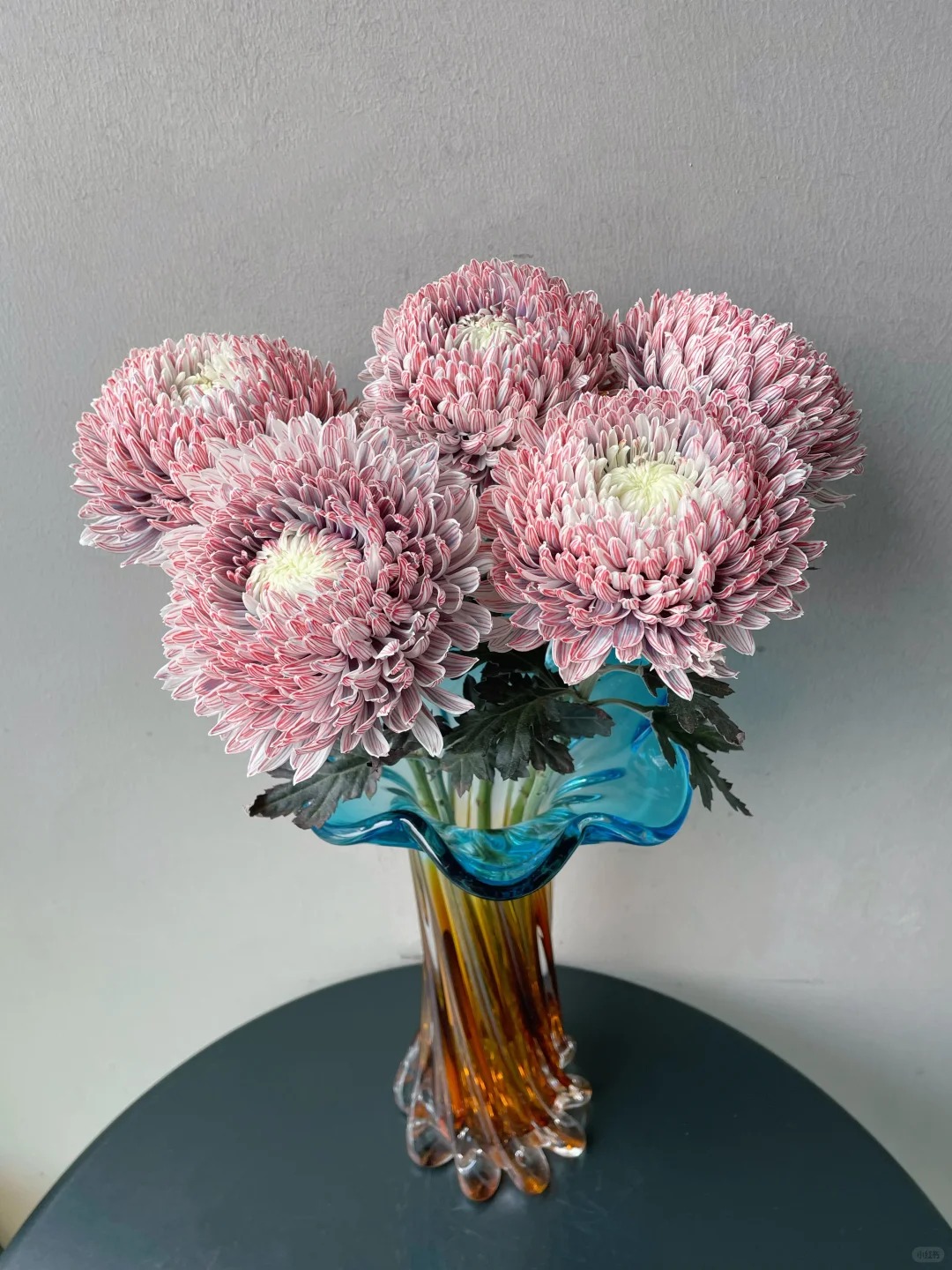 Chi hơn 300k rước bình hoa Chi hơn 300k rước bình hoa