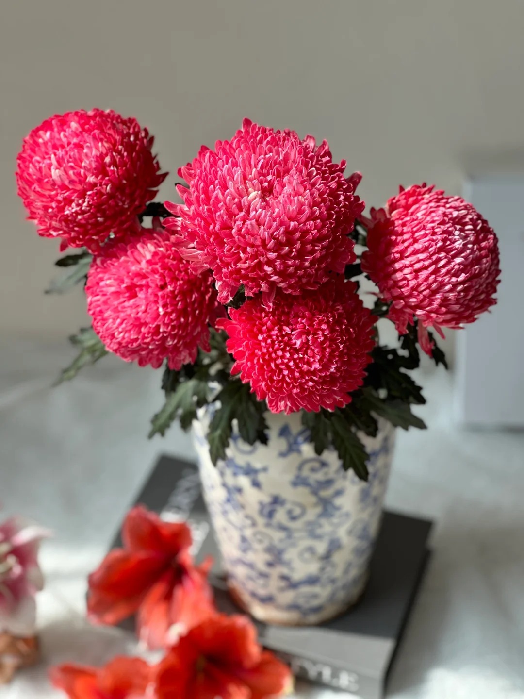 Chi hơn 300k rước bình hoa Chi hơn 300k rước bình hoa