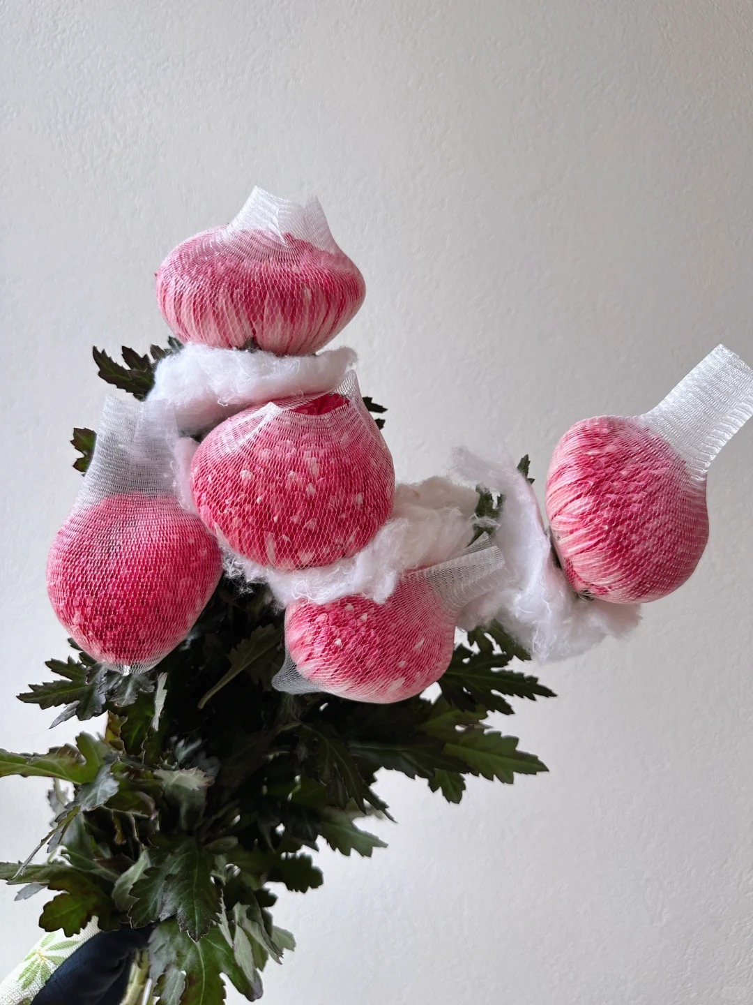 Chi hơn 300k rước bình hoa Chi hơn 300k rước bình hoa