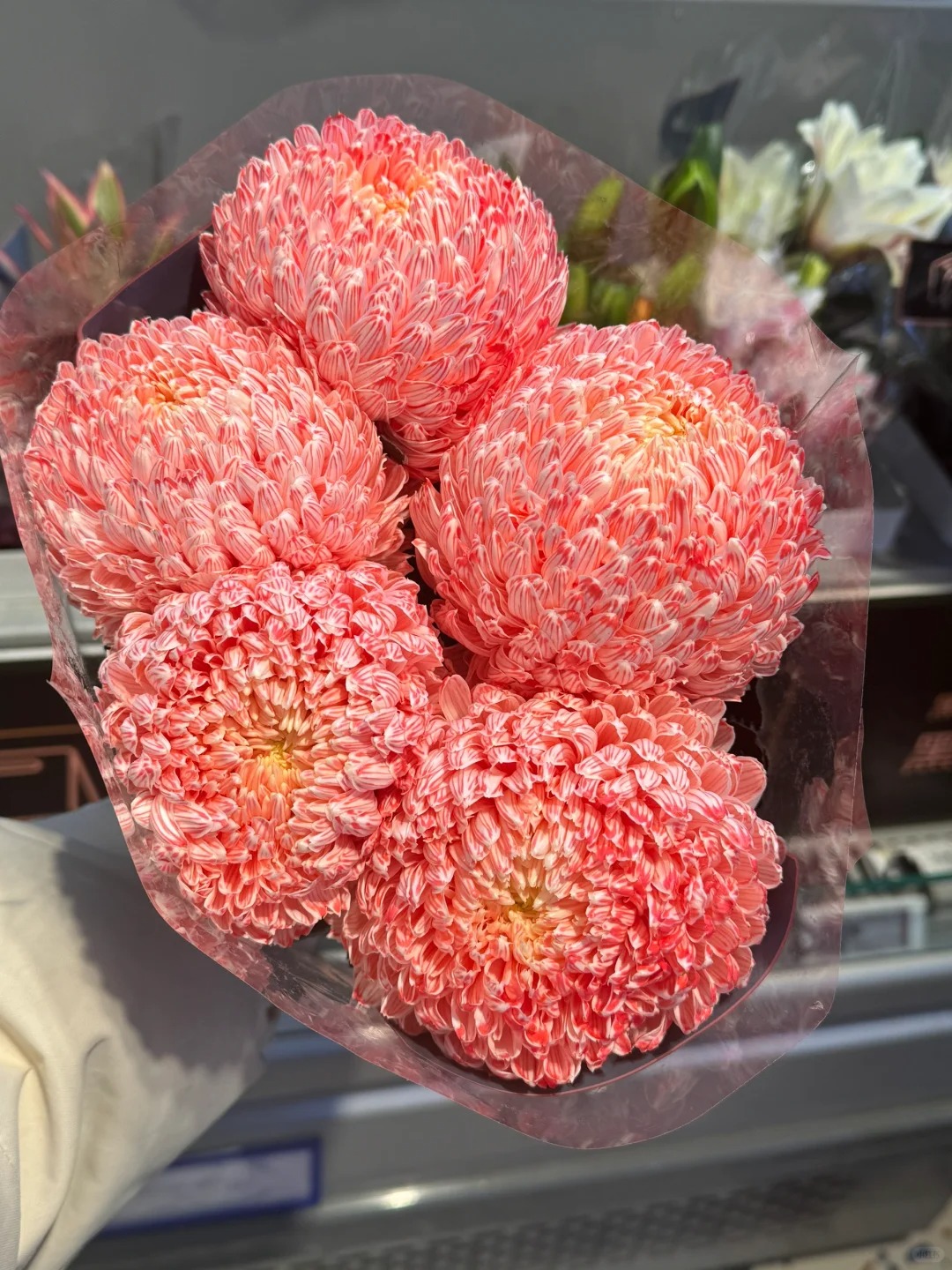 Chi hơn 300k rước bình hoa Chi hơn 300k rước bình hoa