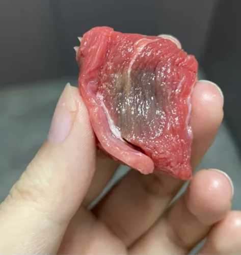 Thịt bò chuyển sang màu xám có phải bị hỏng? Chuyên gia chỉ mẹo xác định độ tươi của thịt bò- Ảnh 4. Thịt bò chuyển sang màu xám có phải bị hỏng? Chuyên gia chỉ mẹo xác định độ tươi của thịt bò- Ảnh 4.