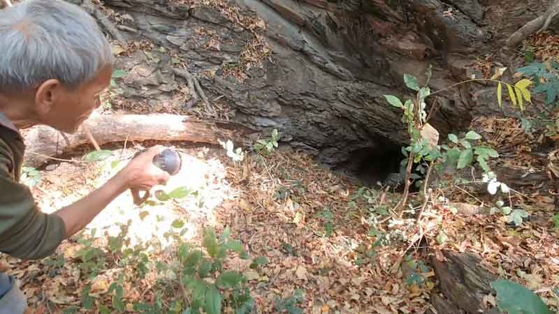 Gia súc liên tục mất tích, dân làng hoang mang kéo đi tìm con lươn 800 năm tuổi- Ảnh 1.