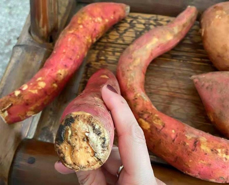 5 loại thực phẩm ngon bổ n&agrave;y sẽ h&oacute;a 